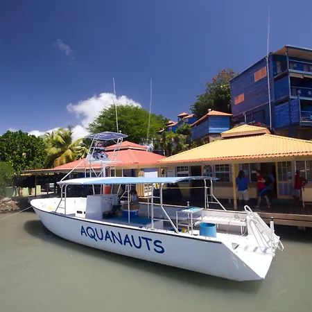 True Blue Bay Resort-3